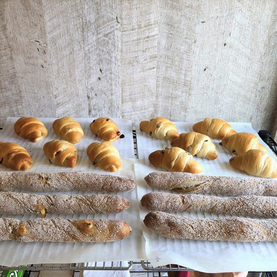 レーズンロールぱん・全粒くるみスティック(ドライイースト)