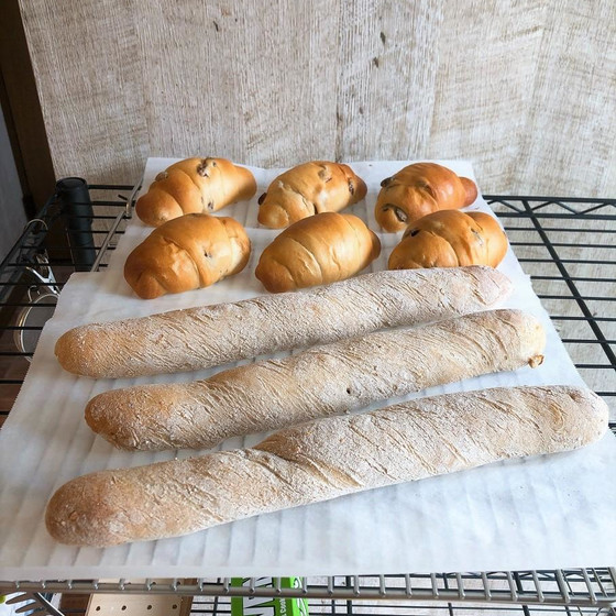 レーズンロールぱん・全粒くるみスティック(ドライイースト)