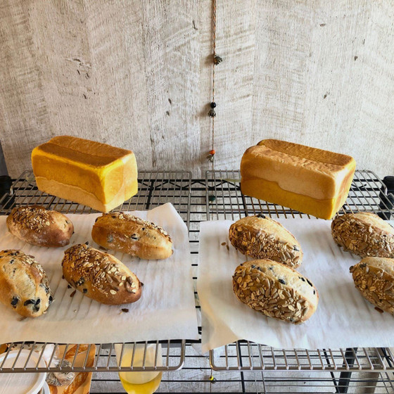 オリーブのぱん・かぼちゃの食ぱん(ドライイースト)