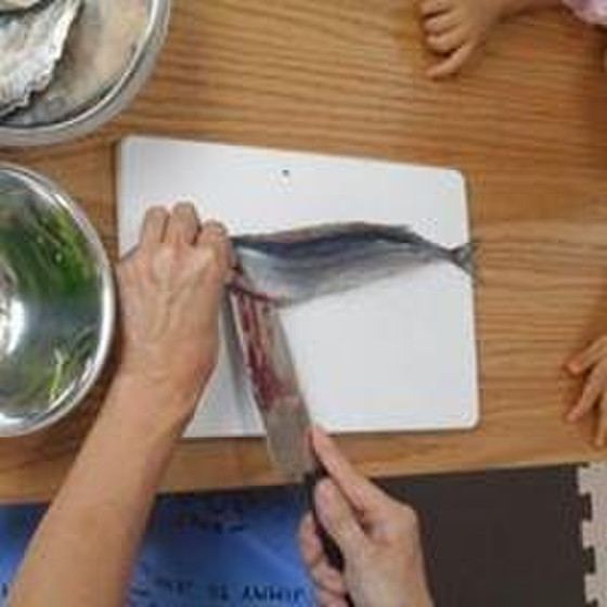 【親子参加可・魚もおろす】原材料が見える料理　回数券６回分