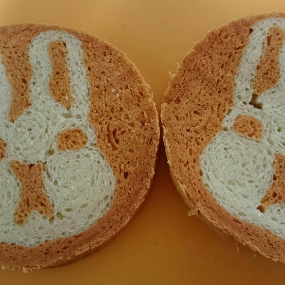 フリーレッスン
