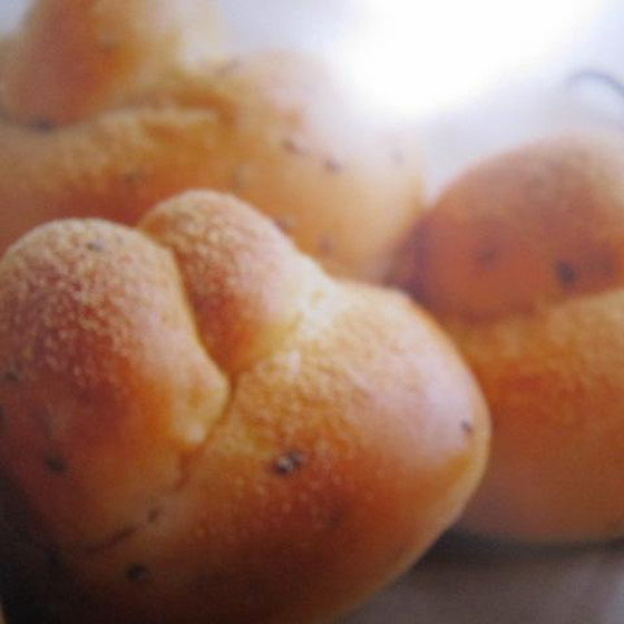 フリーレッスン　体験可　初心者の方も丁寧指導致します