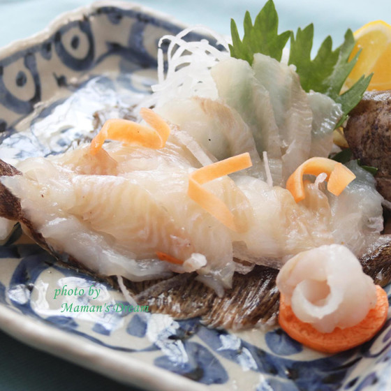 魚のさばき方～メイタカレイ