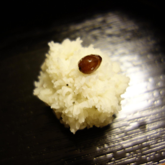 茶懐石実践講座＜稽古納めの懐石＞
