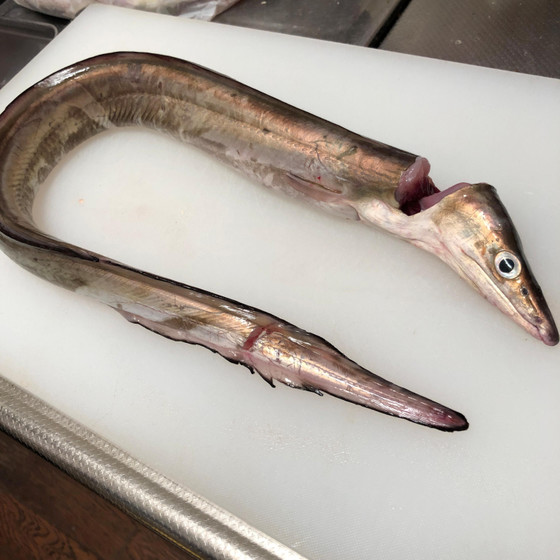 鱧食べ尽くしの会