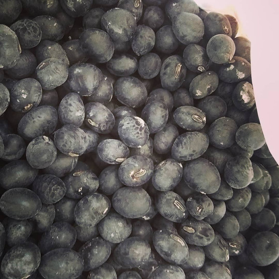 丹波篠山の黒豆を使ったお味噌作り