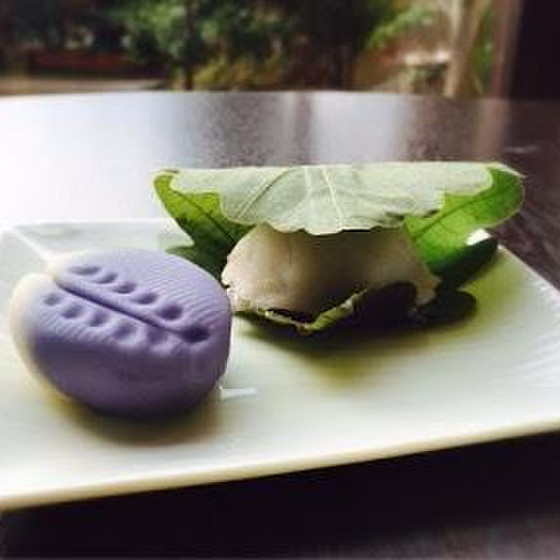 春の生菓子と言えば”柏餅”、他に煉り切り製の”藤の花”