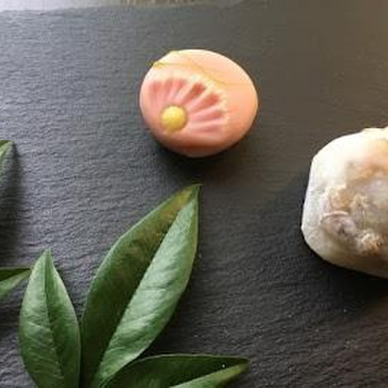 香ばしいクルミの”クルミ大福”と煉り切りで作る”コスモス”