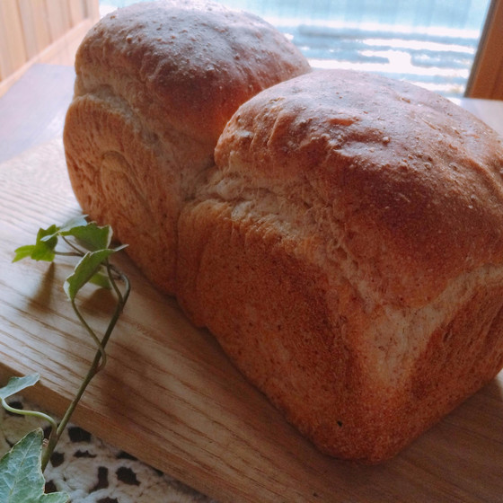 レーズン酵母のふわっふわ食パンと手作りソーセージレッスン