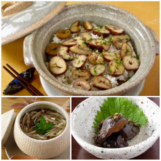 色々なきのこを使って３品　レパートリーが増える家庭和食（デモンストレーション　オンラインレッスン）