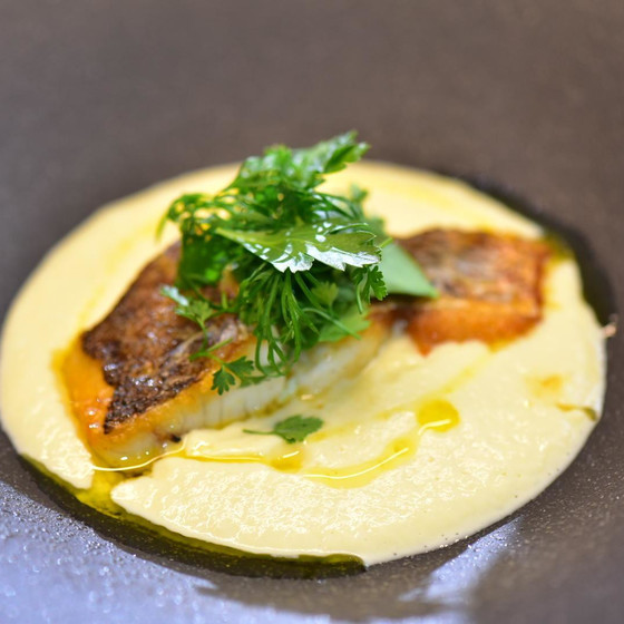 【フランス料理実習】フランス料理のソース作りを学んでみませんか？