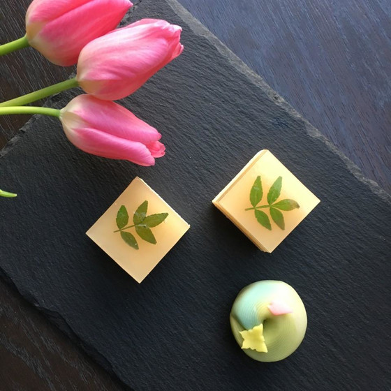 蝶舞うと木の芽の香りが春を呼ぶ春景色他一品