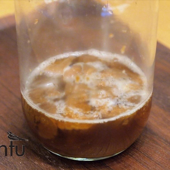 いちじく酵母の液種