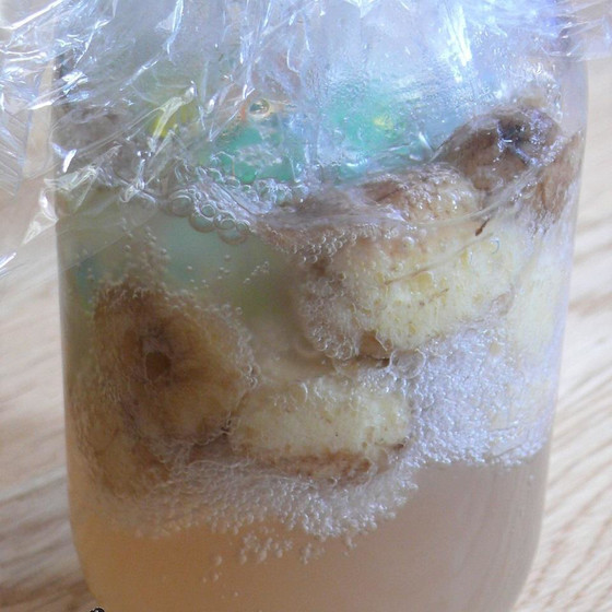 バナナ酵母
