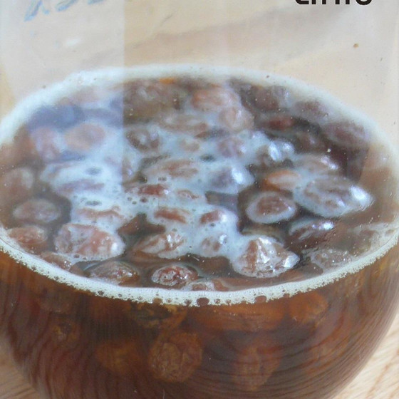 レーズン酵母