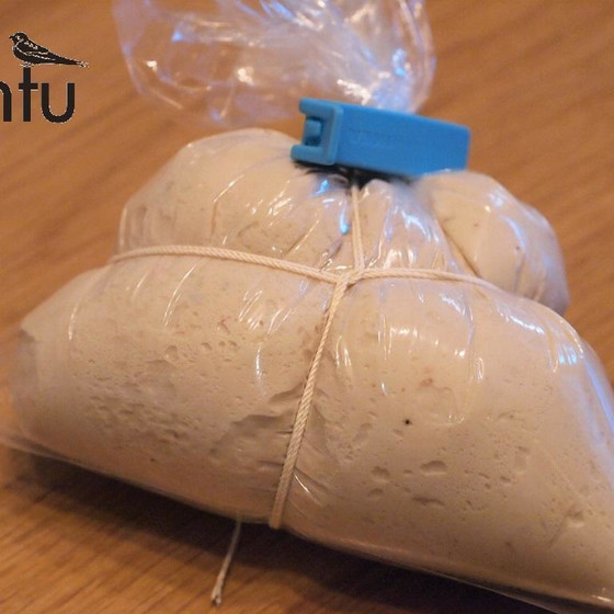 前種