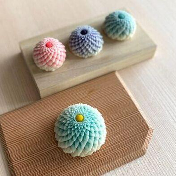 鋏菊上段切り特別講座