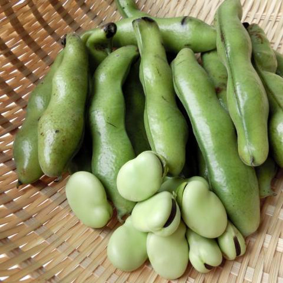 そら豆は、炊き込みご飯に