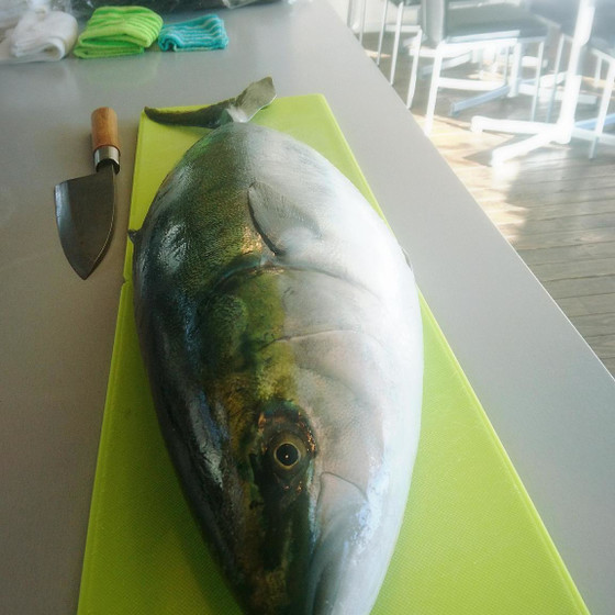 大人気！《大型魚にチャレンジ！ぶり丸ごと１本さばきましょう》