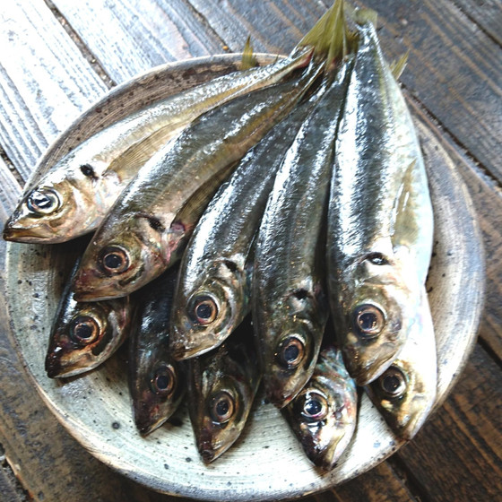 《魚市場直送の新鮮お魚をとにかくひたすらさばく》レッスン