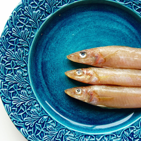 ◆◆ 鮮魚のお土産付 ◆ お魚にフォーカスした料理教室 ◆◆
