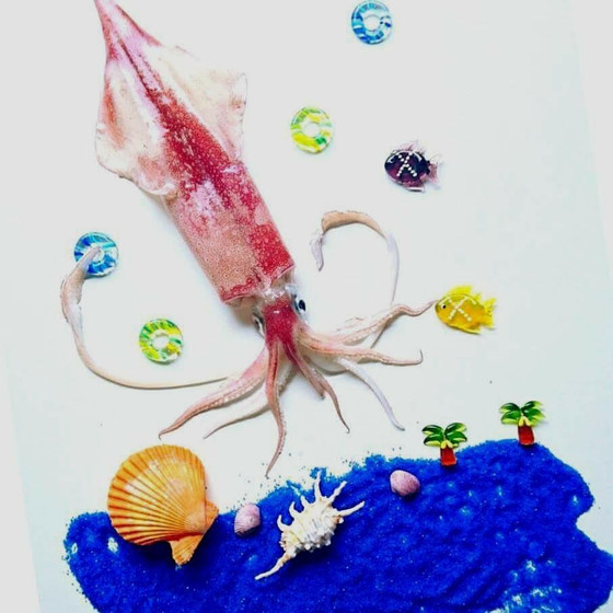 ◆◆ 鮮魚のお土産付 ◆ 少人数制　◆◆ お魚料理教室 ◆◆