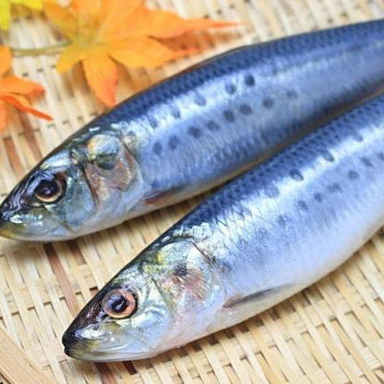 鰯の手開きもできる女やけん◆〇〇の女やけんシリーズ