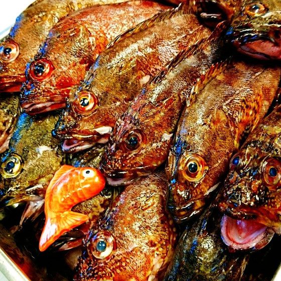 ◆ 鮮魚のお土産付 ◆桜！春のお魚料理教室 ◆