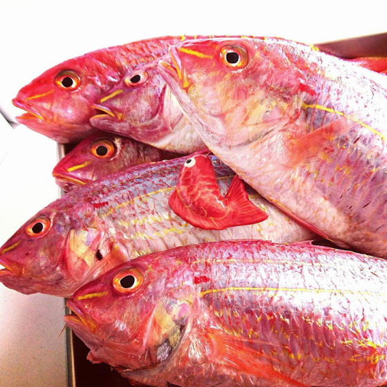 〈桜春〉1種の魚で3つの料理を作る◆1fish→3dish