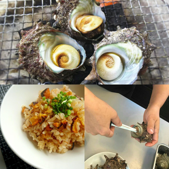 GWお魚マスター B《サザエをさばいてサザエ料理をマスター》