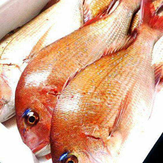 ◆1種の魚で3つの料理を作ろう！◆1fish→3dish