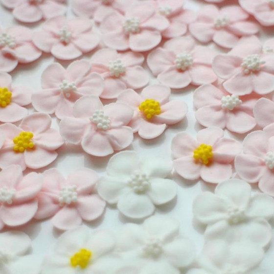 アイシングクリームで作るお花絞りレッスン