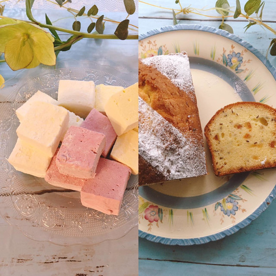 優しい春いろギモーブとシードケーキ