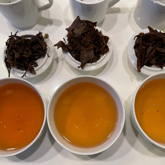 産地ごとの紅茶の飲み比べ