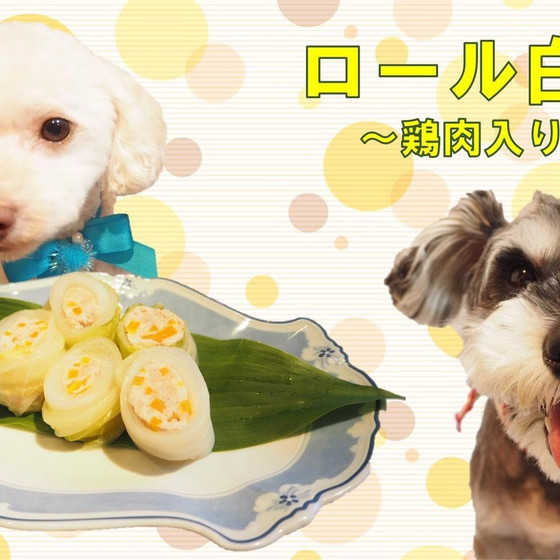 わんこも飼い主さんも一緒に薬膳料理教室　（わんこ同伴不可）