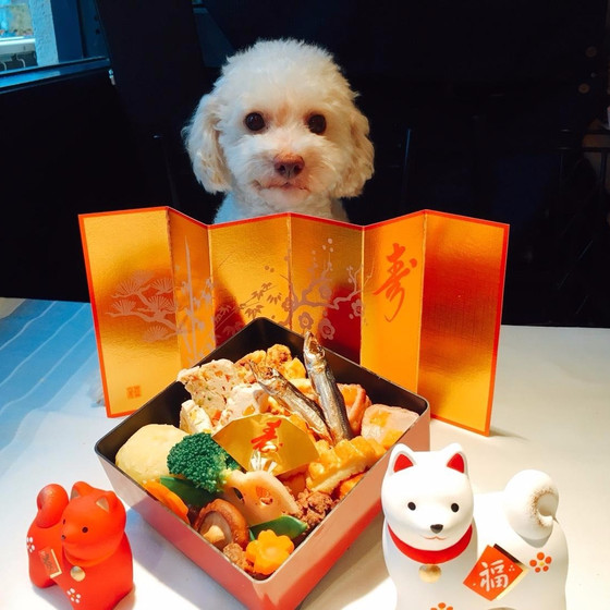 わんこおせちと薬膳料理（わんこ同伴不可）