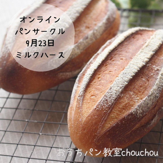 【オンラインパンサークル】ミルクハース