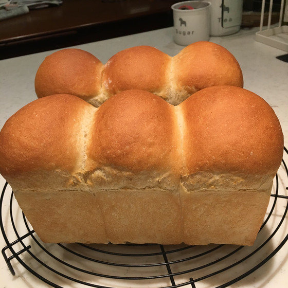 自家製酵母 スタートレッスン