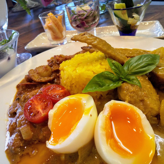 夏バテピッタリ糀カレー２種