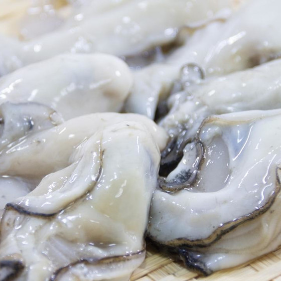 発酵料理教室＜牡蠣醤油＞
