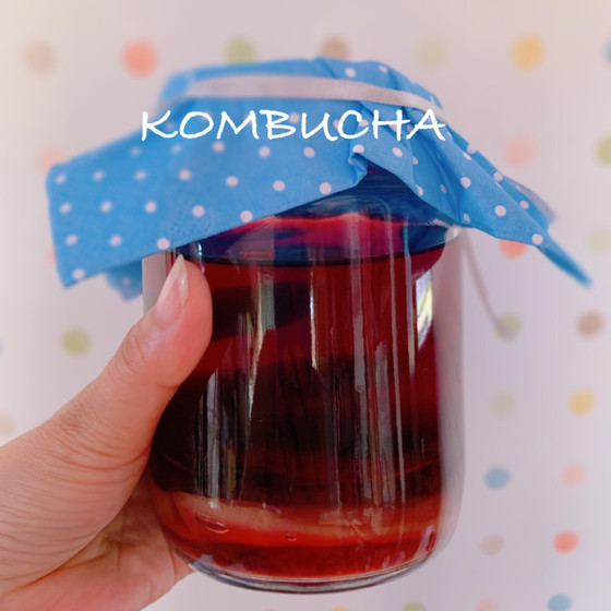 コンブチャ(紅茶きのこ)株分け＆料理レッスン