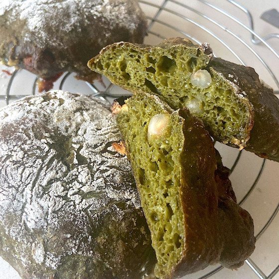 プレミアム限定  抹茶のロデブ