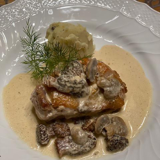 稀少食材☆フランス産「モリーユ茸」（アミガサダケ）のクリームソース