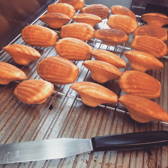 貝殻の形が定番、小さな可愛い焼き菓子「マドレーヌ」