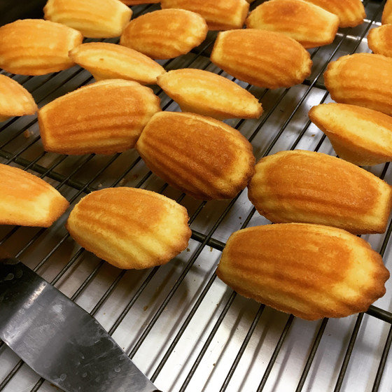 夏休み☆キッズレッスンで、焼き菓子の定番「マドレーヌ」