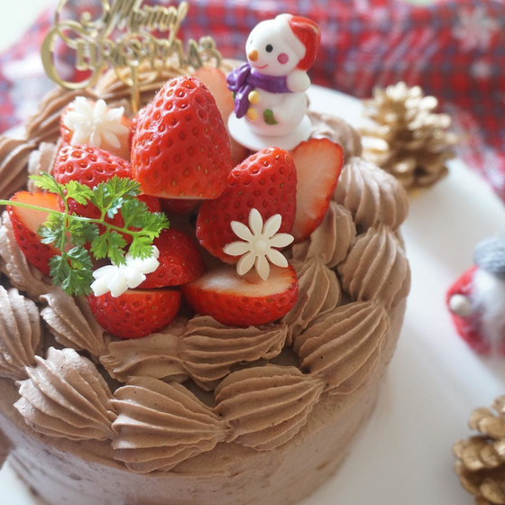 チョコレートのクリスマスケーキ🎄
