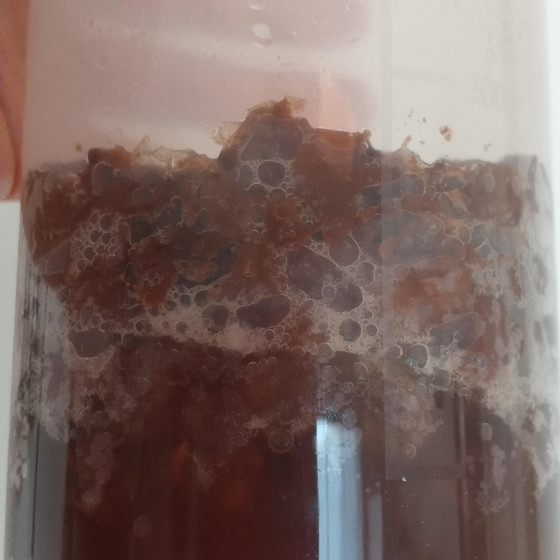 レーズン酵母の作り方(酵母液と酵母種)