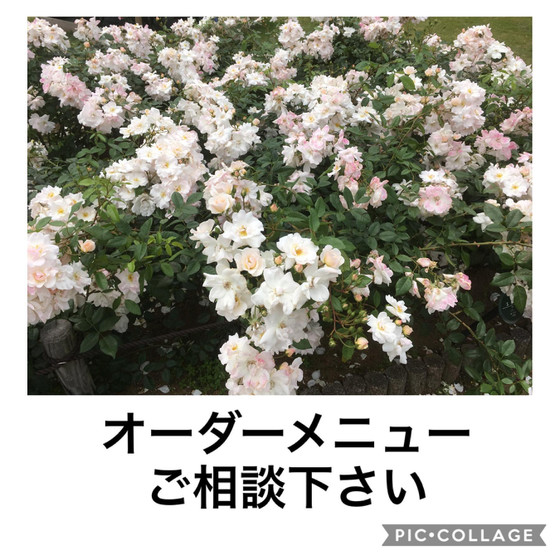 オーダーレッスン