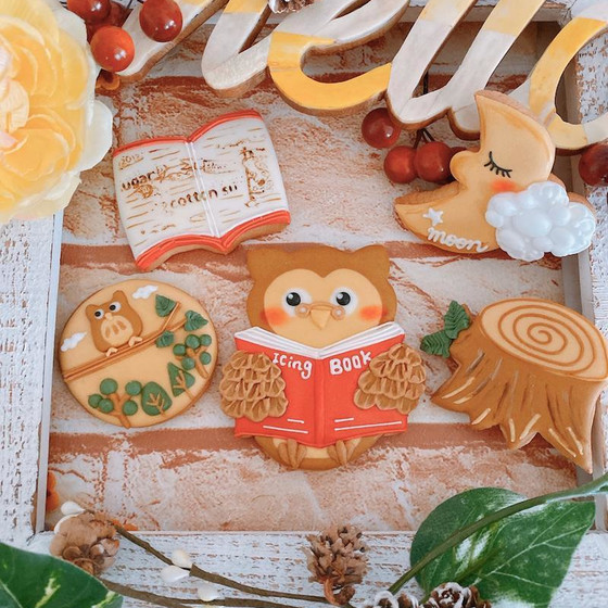 11月の1dayレッスン typeB 秋のフクロウくんの読書