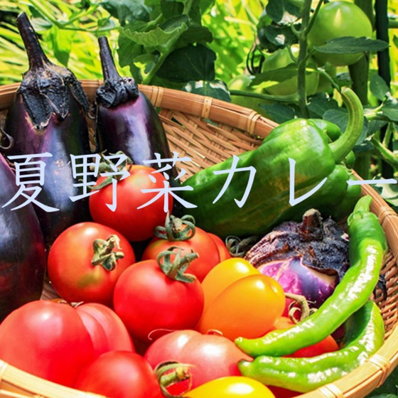 サブジマサラで作るシンプル夏野菜カレー